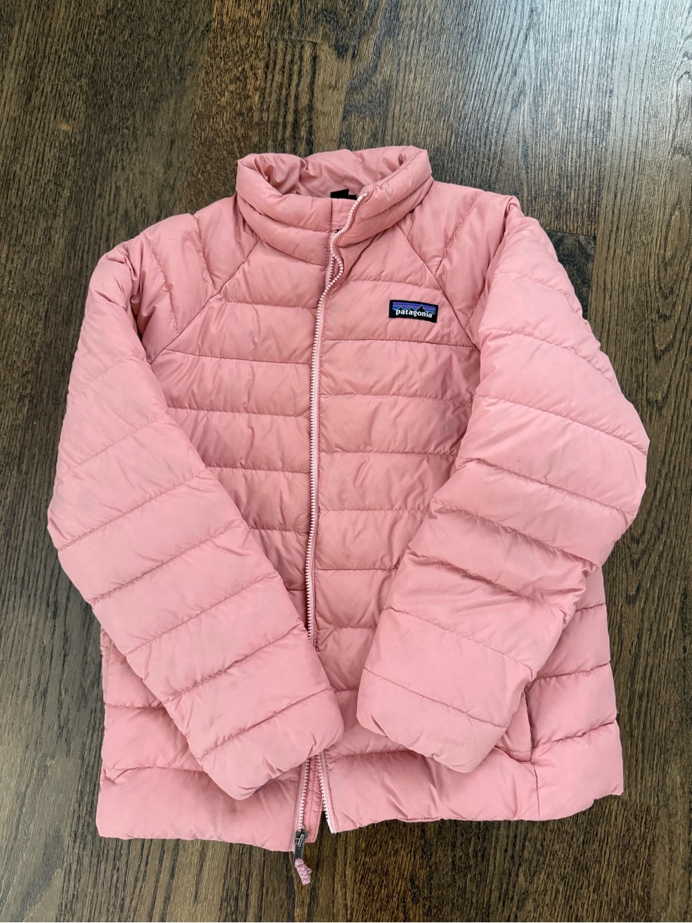 Patagonia Kids Down Pink Jacket
